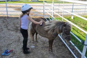 Mommy And Me Camp Kraus Farms Equestrian Center