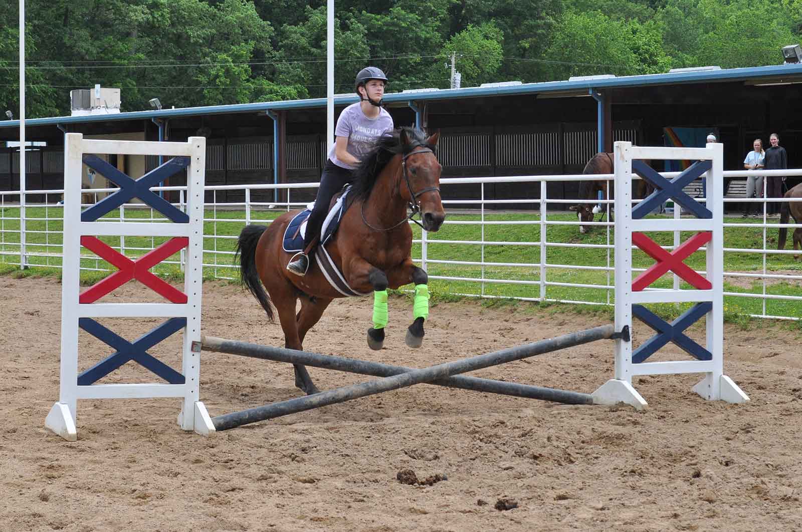 Hunter Hounds Camp (Full Day, 5 days) - Kraus Farms Equestrian Center